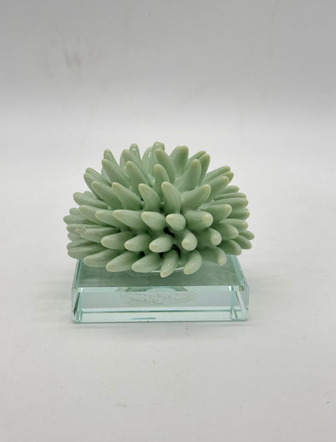 SARA'S IDEA RICCIANE' SU BASE CRISTALLO 7.5X7.5X6.5 COLORE ACQUAMARINA