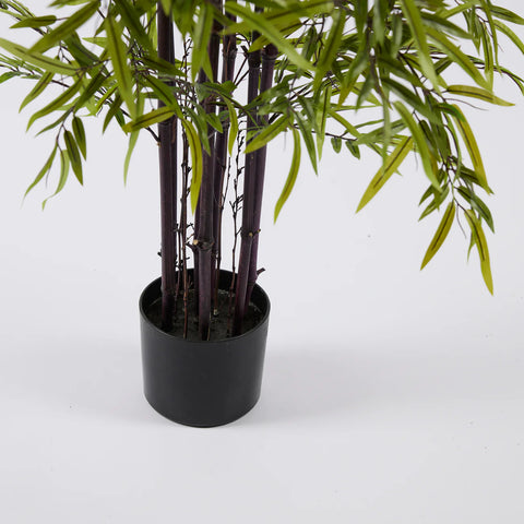 EDG Enzo De Gasperi Pianta Bamboo con vaso H 150 cm Verde Scuro