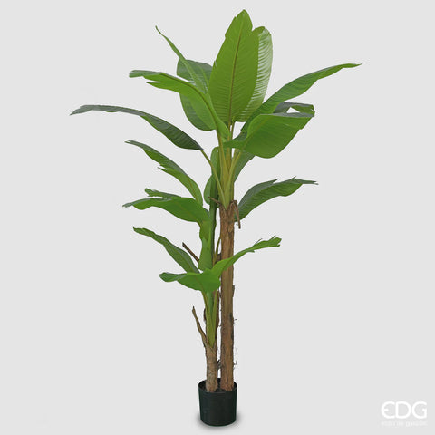 EDG Enzo De Gasperi Pianta Artificiale Banano con Vaso H280 cm