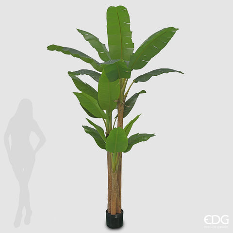 EDG Enzo De Gasperi Pianta Artificiale Banano con Vaso H280 cm