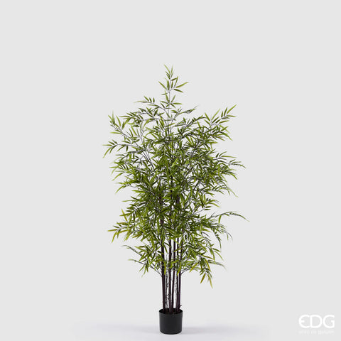 EDG Enzo De Gasperi Pianta Bamboo con vaso H 150 cm Verde Scuro
