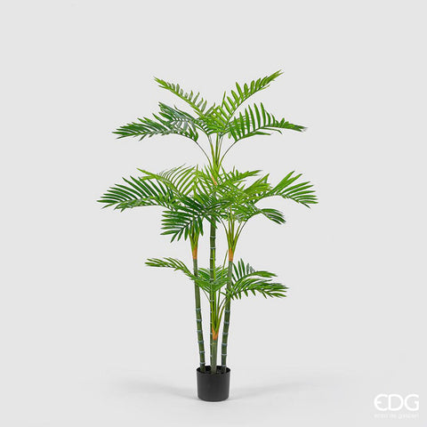 EDG Enzo De Gasperi Pianta Palma Areca con vaso pvc h147 24 foglie