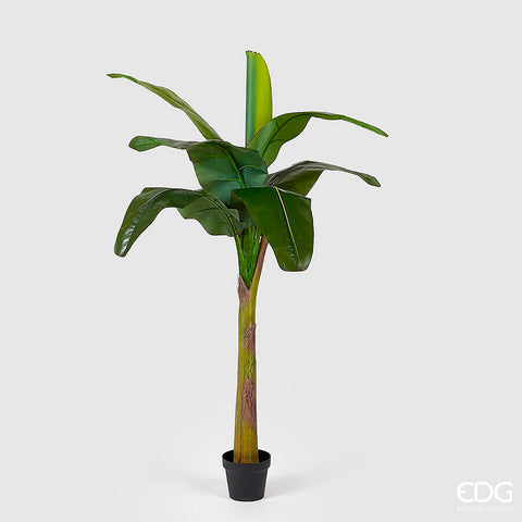 EDG Enzo De Gasperi Pianta Artificiale Banano con Vaso H170 cm 9 FG