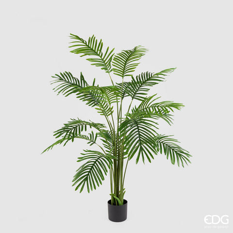 EDG Enzo De Gasperi Pianta Palma Areca con Vaso H150 cm
