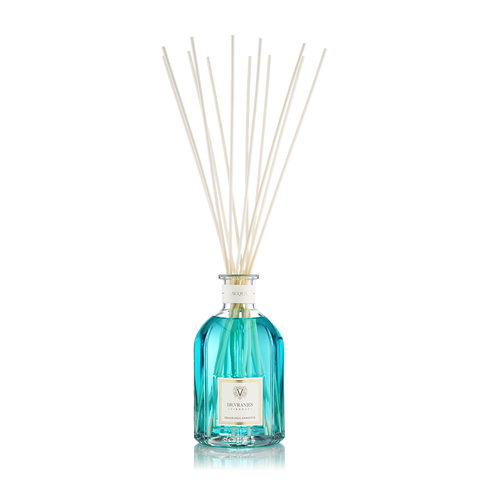 Dr Vranjes Acqua BS Fragranza Ambiente con bamboo 100 ml