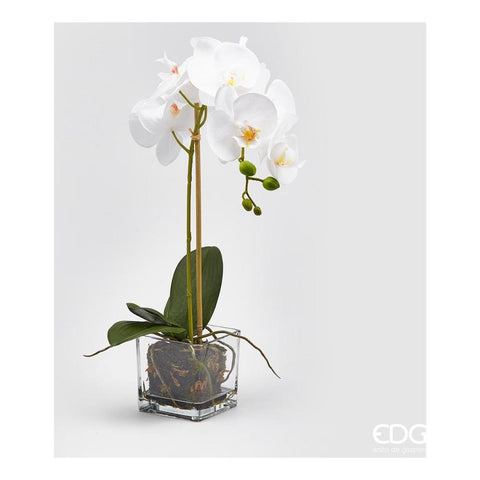 EDG Enzo De Gasperi Pianta artificiale Orchidea Vaso Tt. White 52 cm