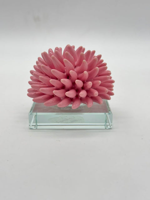 SARA'S IDEA RICCIANE' SU BASE CRISTALLO 7.5X7.5X6.5 COLORE ROSA
