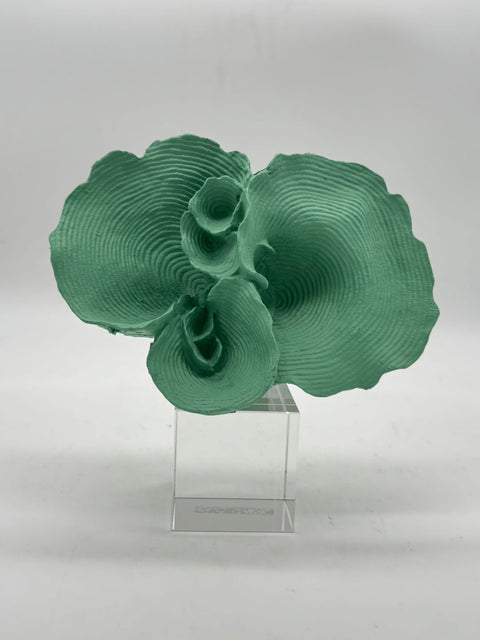 CHIARAELA SCULTURA CORALLO PICCOLO ORIZZONTALE VERDE MARINO SU  BASE CRISTALLO 5X5X15