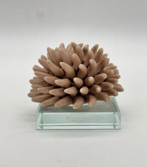 SARA'S IDEA RICCIANE' SU BASE CRISTALLO 7.5X7.5X6.5 COLORE TORTORA