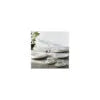 BRANDANI TAVOLA 18 PZ OPTICAL NEW BONE CHINA