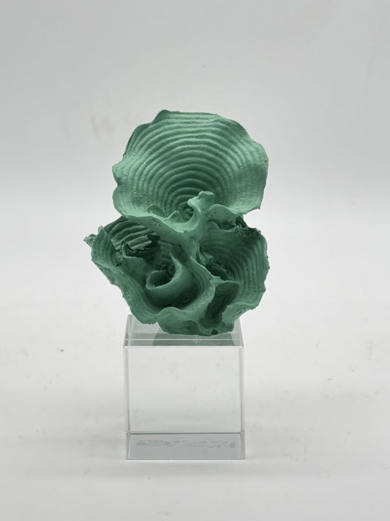 CHIARAELA SCULTURA CORALLO PICCOLO VERTICALE VERDE MARINO SU  BASE CRISTALLO 4X6X11
