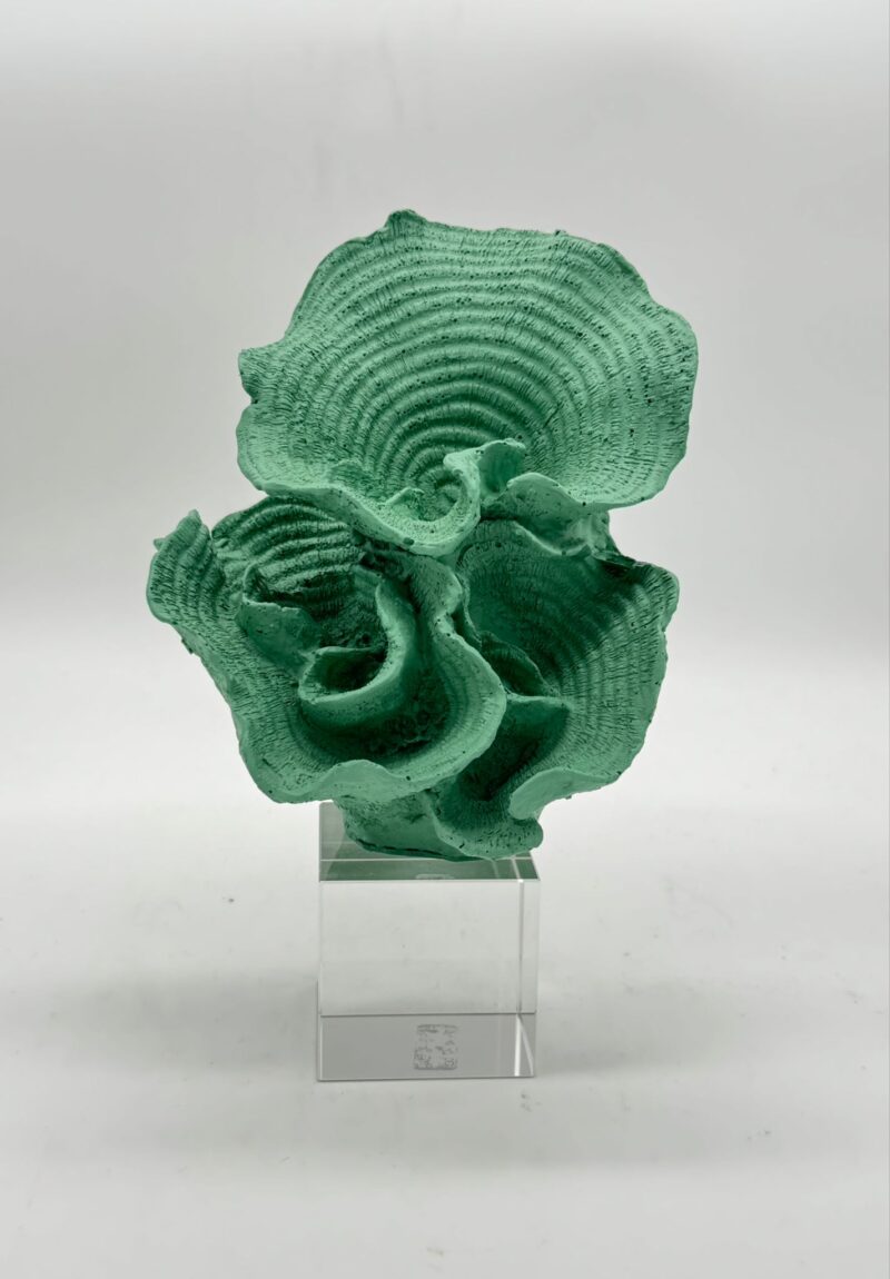 CHIARAELA SCULTURA CORALLO GRANDE VERTICALE VERDE MARINO SU  BASE CRISTALLO 5X5X20
